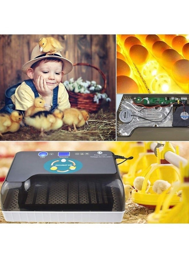 Generic Digital Egg Incubator 12 Eggs, Poultry Hatcher with LED Display, Automatic Incubation Equipment for Hatching Chickens, Ducks, Geese, Quail, Pigeons ，12-16 egg  - Image 4