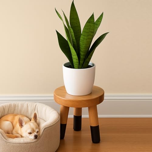 JOLLYMER Rubber Wood 9" Round Plant Stand |Dip Dyed Black Stool, Wood Riser |Milking Stool (10" H) - Image 4