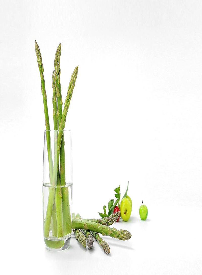 GGOOT Rare Growing Asparagus Seeds Gardening Gifts Plants Seeds Quality Vegetables Herb Seeds Aerogarden Grow Your Own-100 Pcs - Image 1