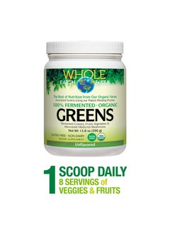 Whole Earth & Sea From Natural Factors Organic Fermented Greens Vegan Whole Food Supplement Unflavored 13.8 Oz - pzsku/Z2CA1AF1C6305BA06C4FAZ/45/_/1694545122/b4833335-e1df-4114-b3e8-cc933317eba8