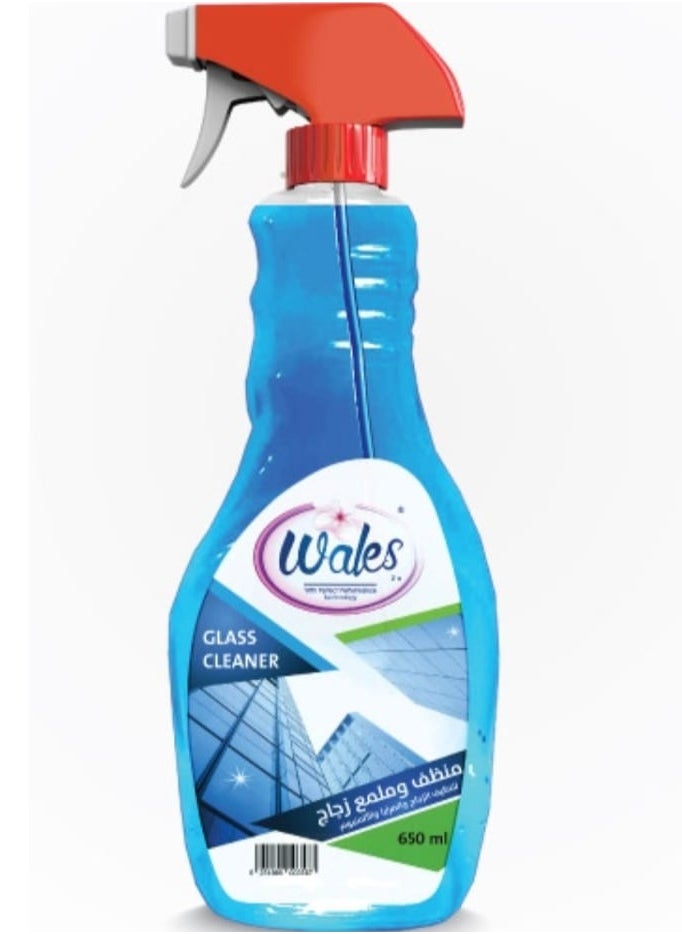 Wales Wales Glass Cleaner 650ml  - Image 1