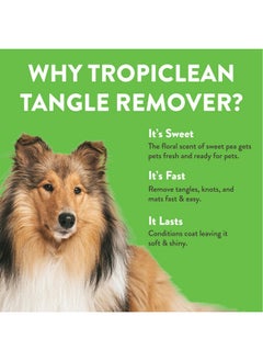 TropiClean Sweet Pea Cat & Dog Detangler Spray Dematting | Dog Conditioner Spray Derived from Natural Ingredients | Made in the USA | 16 oz. - pzsku/Z2CA23E449AF68A10A346Z/45/_/1737031819/6d6b5e85-0431-49db-bac4-c72a30cddf69