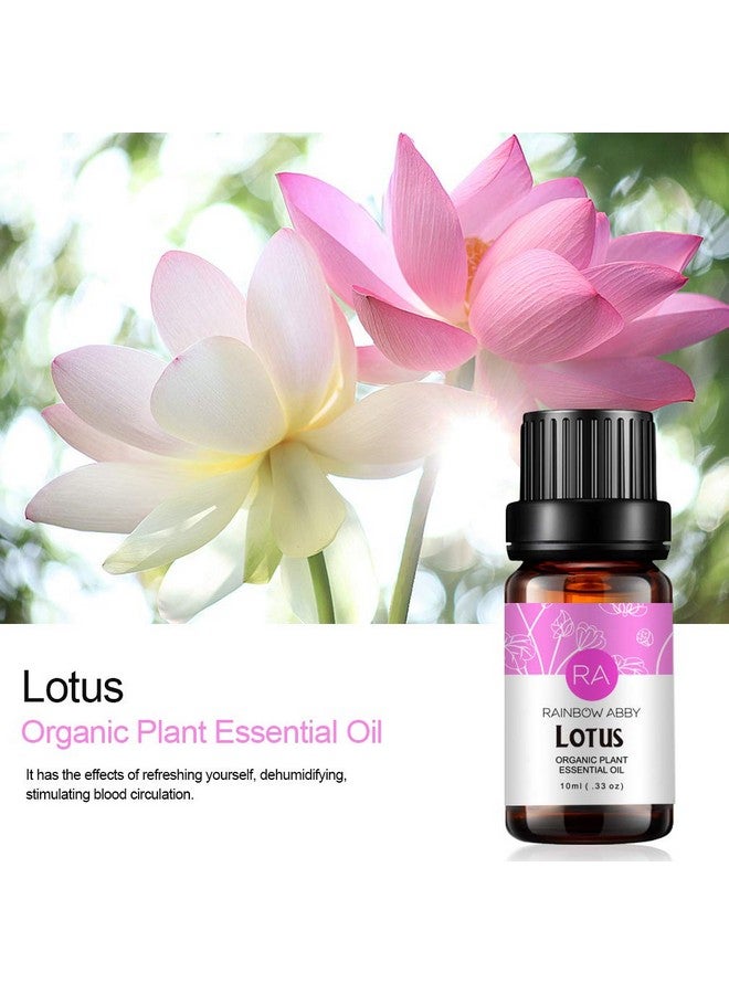Rainbow Abby 2-Pack Lotus Essential Oil 100% Pure Oganic Plant Natrual Flower Essential Oil for Diffuser Message Skin Care - 2x10ML  - Image 2