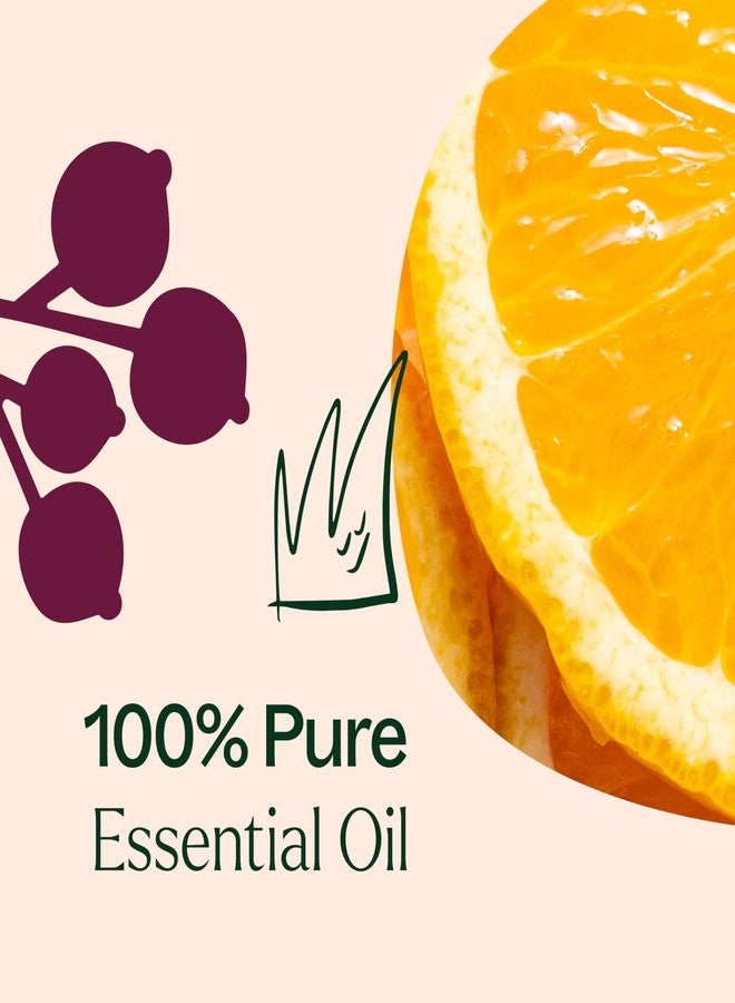 بلانت ثيرابي زيت عطري من مجموعة بلانت ثيرابي لموسم الأعياد، 30 مل (1 أونصة)، نقي 100%، غير مخفف، درجة علاجية - Image 5