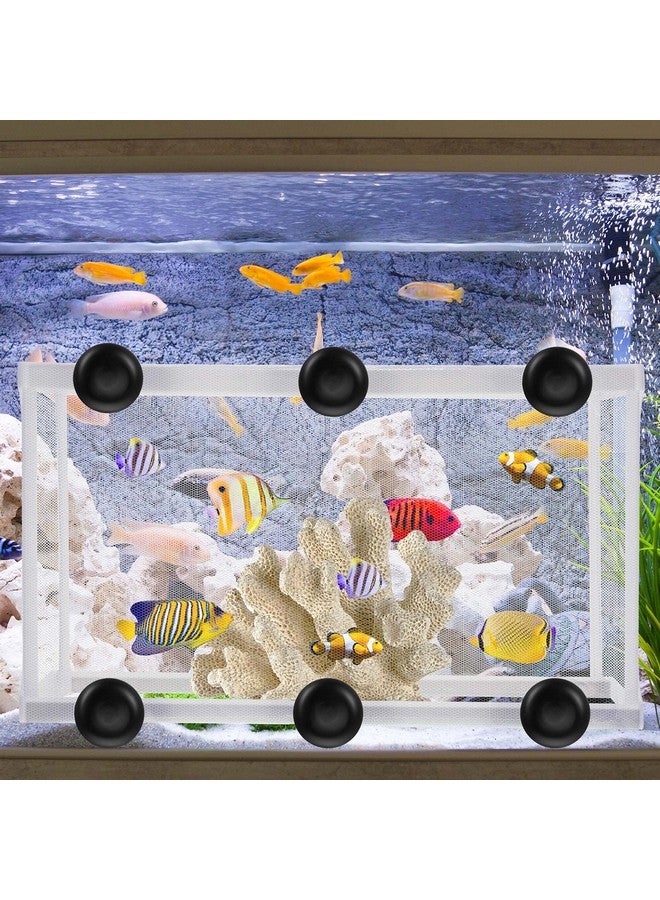 Shappy 2 Pieces Fish Tank Breeder Net Mesh Breeder Box Fish Hatchery Isolation Separation Net Plastic Frame Fry Hatchery Incubator Mesh Breeding Box with Suction Cup for Aquarium - Image 5
