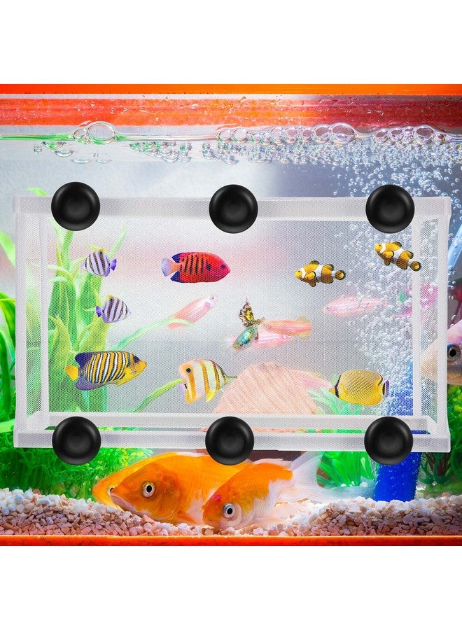 Shappy 2 Pieces Fish Tank Breeder Net Mesh Breeder Box Fish Hatchery Isolation Separation Net Plastic Frame Fry Hatchery Incubator Mesh Breeding Box with Suction Cup for Aquarium - Image 4