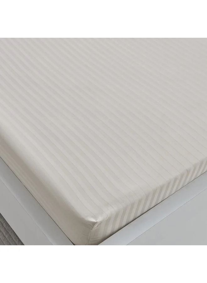 هوم بوكس شرشف سرير مفرد هاميلتون مخطط ساتان قطن 200 × 36 × 90 سم