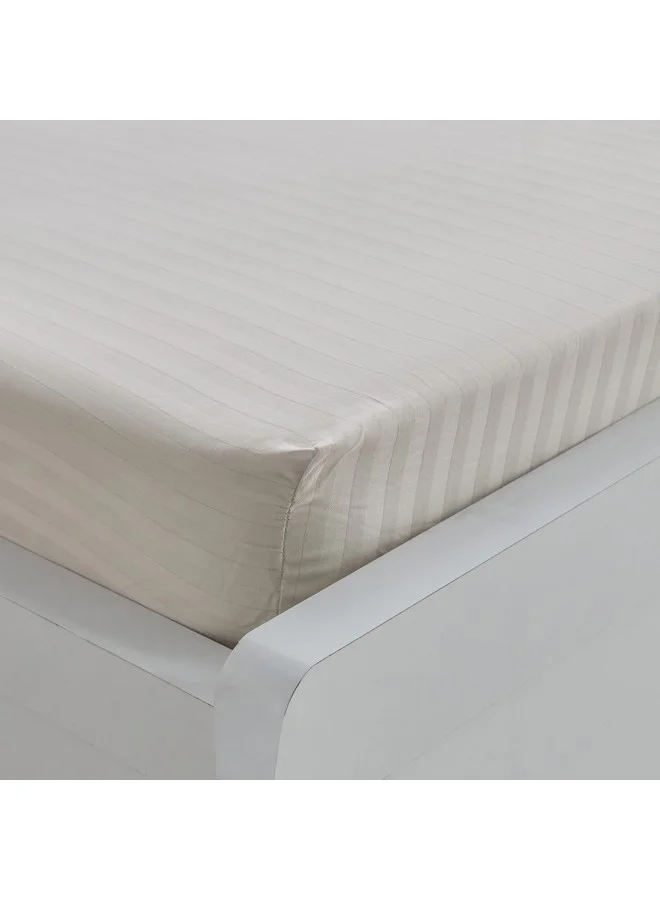 هوم بوكس شرشف سرير مفرد هاميلتون مخطط ساتان قطن 200 × 36 × 90 سم