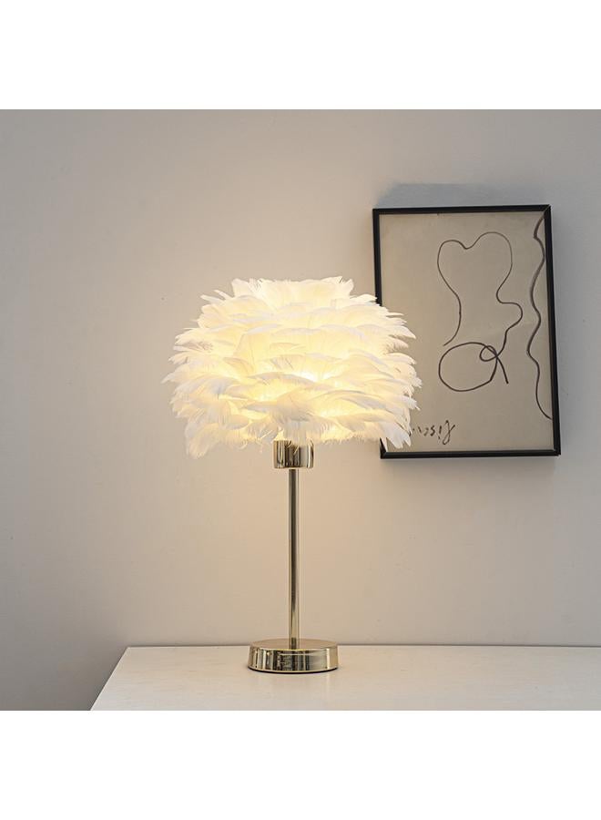 Bluejw New Nordic Ins Feather Table Lamp Simple Romantic Warm Bedside Lamp Study Bedroom Decorative Atmosphere Lamp - Image 5