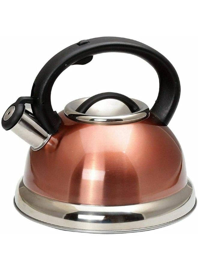 Kettle Tea pot with whistle capacity 3 liter Stainless Steel Brown