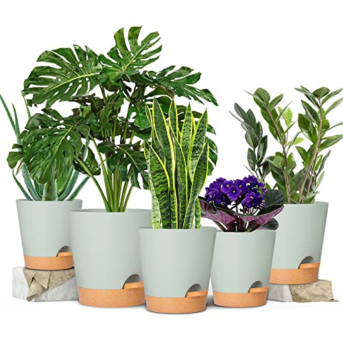 GARDIFE Plant Pots 7/6.5/6/5.5/5 Inch Self Watering Planters with Drainage Hole, Plastic Flower Pots, Nursery Planting Pot for All House Plants, African Violet, Flowers, and Cactus,Green - Image 2