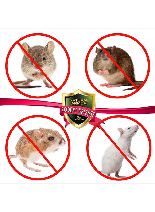 Natural Armor Peppermint Repellent for Mice/Mouse, Rats & Rodents. Natural Spray for Indoor & Outdoor Use Rodent Shield - 128 Fl Oz Gallon Refill  - Image 2
