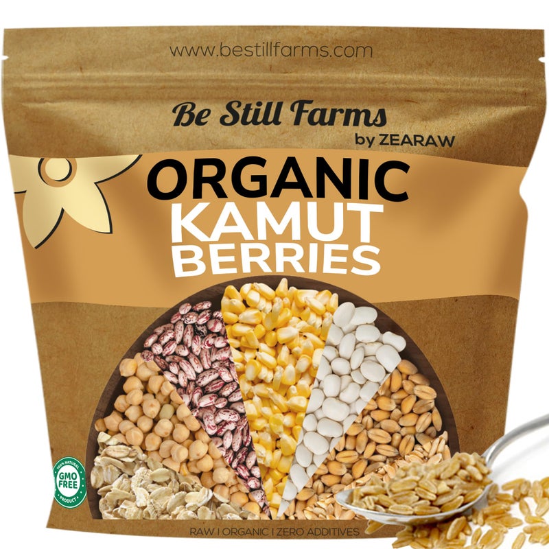 Be Still Farms Organic Kamut Wheat Berries Khorasan 48lb Ancient Whole Grain Bulk Ideal for Flour Pasta Salads Soups High in Fiber Protein USA Grown USDA Certified Vegan NonGMO