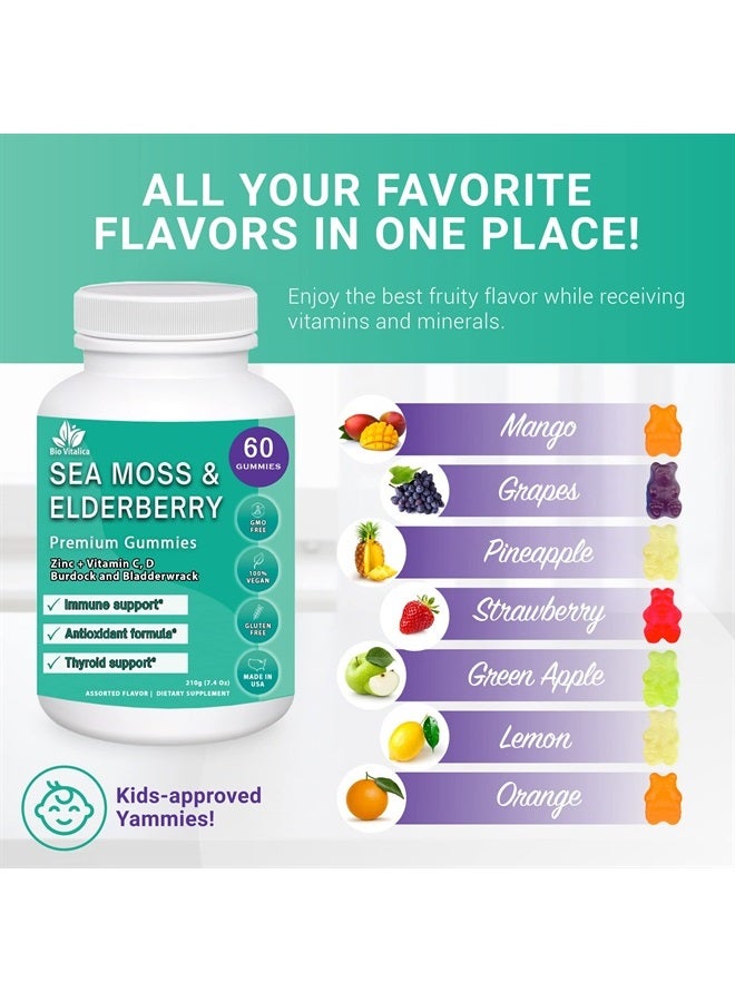 BIO VITALICA Sea Moss Gummies Elderberry BioVitalica - Vitamin C D + Zinc - Irish Seamoss Vegan Gummy with Sea Moss Gel & Powder for Immunity, Detox & Energy - for Adults and Kids  - Image 3