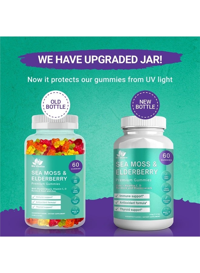 BIO VITALICA Sea Moss Gummies Elderberry BioVitalica - Vitamin C D + Zinc - Irish Seamoss Vegan Gummy with Sea Moss Gel & Powder for Immunity, Detox & Energy - for Adults and Kids  - Image 2