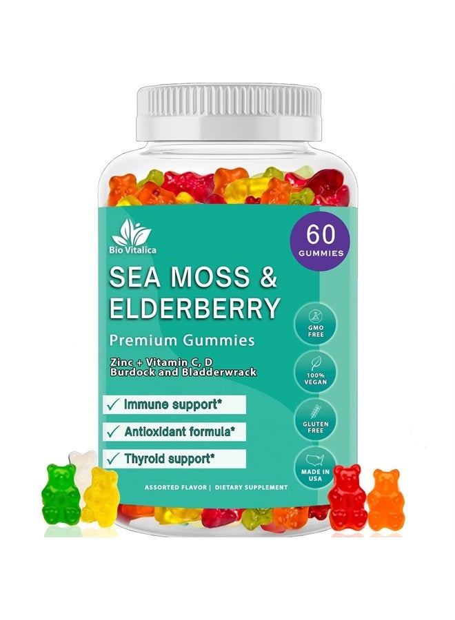 BIO VITALICA Sea Moss Gummies Elderberry BioVitalica - Vitamin C D + Zinc - Irish Seamoss Vegan Gummy with Sea Moss Gel & Powder for Immunity, Detox & Energy - for Adults and Kids  - Image 1