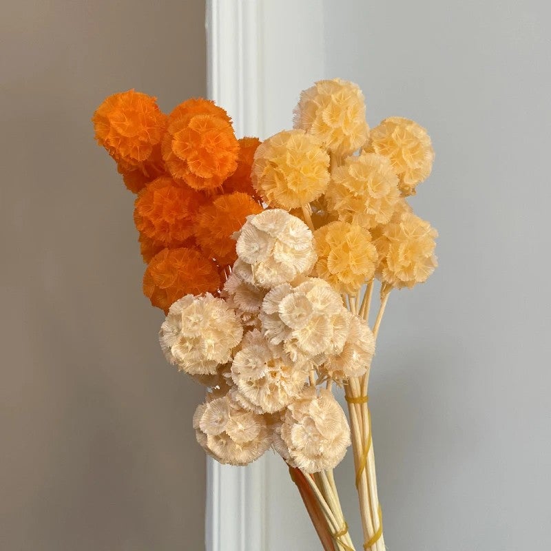 Bluejw Dried Arrangement Windmill Fruit Flowers - Preserved Plants for Mother's Day, Valentine's, Graduation, Christmas, CNY, Easter Decor - Image 4