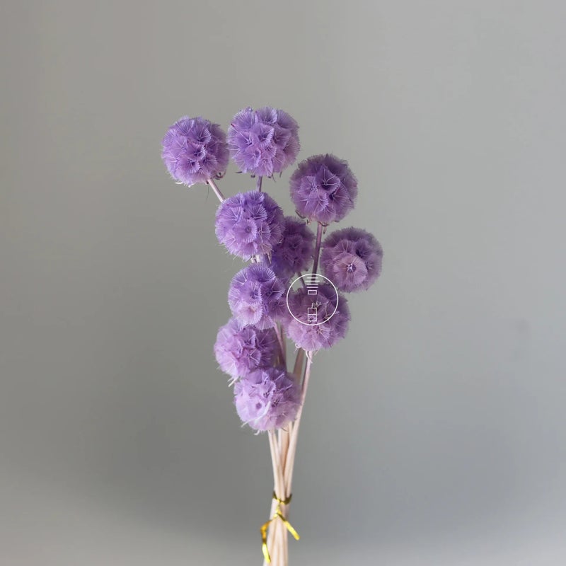 Bluejw Dried Arrangement Windmill Fruit Flowers - Preserved Plants for Mother's Day, Valentine's, Graduation, Christmas, CNY, Easter Decor - Image 1