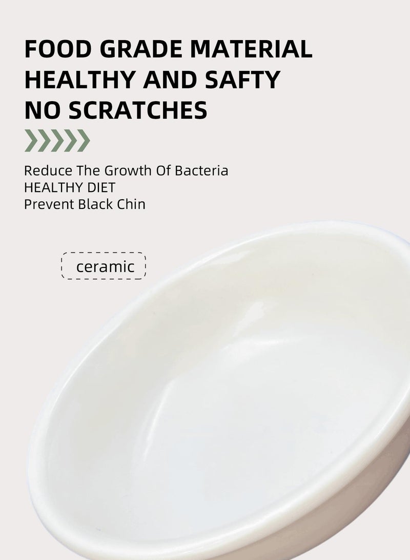 Zikra cat Bowls Elevated, Dog Bowl, Cat Food Bowl, Pet Bowls, Pet Ceramic Bowl, Wide-Neck Dog Food Bowl, Anti-Spill Cat Food Bowl,Tall Dog Bowl, Tilted cat Bowl, Protect Pet Spine Pet Food Bowl Cats - Image 4