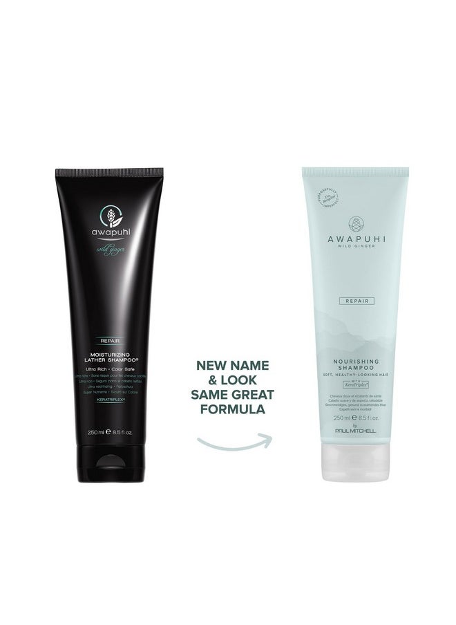 Awapuhi Wild Ginger Awapuhi Wild Ginger by Paul Mitchell Nourishing Shampoo, Ultra Rich, Color-Safe Formula, For Dry, Damaged + Color-Treated Hair, 8.5 fl. oz.  - Image 2