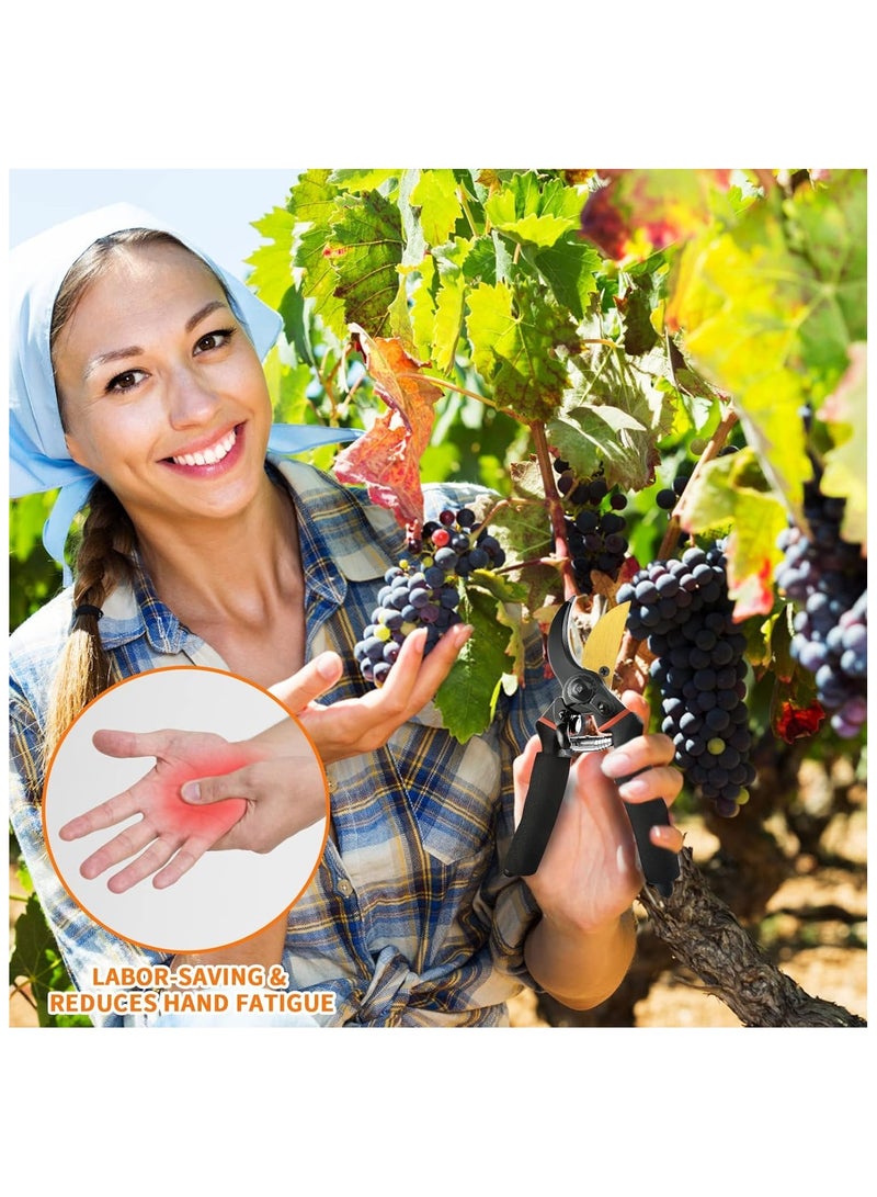 Pruning Shears for Gardening, Professional Bypass Pruning Shears and Micro-tip Garden Scissors, Sharp Stainless Steel Blade, Garden Clippers for Rose, Plant, Tree, Garden Fift - Image 5