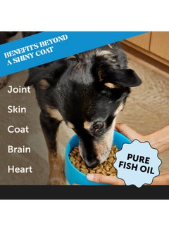 Pet Honesty Wild Alaskan Salmon Oil, Omega3 Fish Oil For Dogs And Cats, Fatty Acids, Salmon Oil For Dogs, Skin And Coat Health, Pure Dog Food Topper, Supports Joints, Brain & Heart Health  32Oz  - Image 2