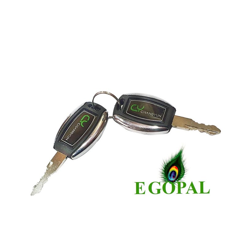 EGOPAL E Gopal Key Lock/Ignition Switch Power Lock for Electric Vehicle Automotive Electronic Hobby kit - Image 3