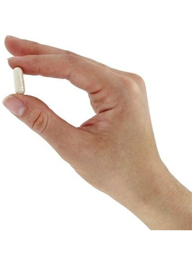 Now Foods Pancreatin Dietary Supplement - 250 Capsules - Image 1