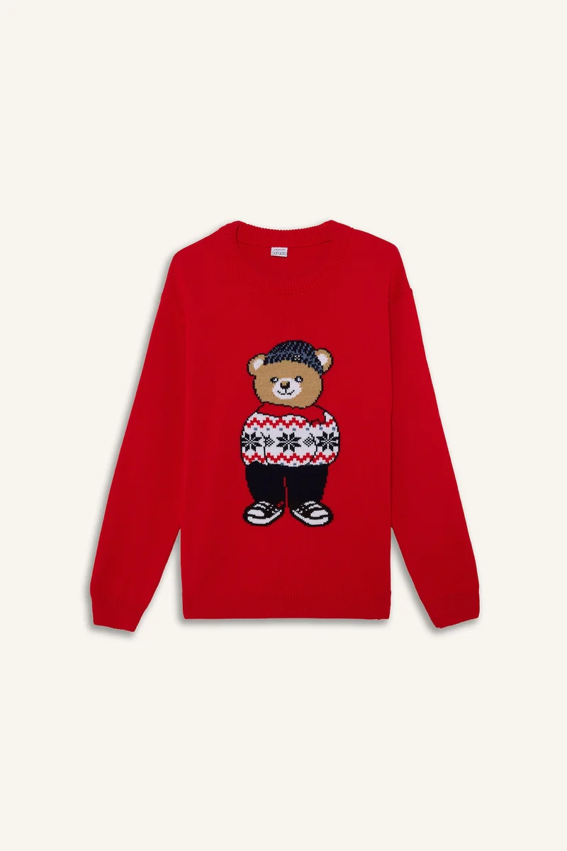 Defacto  Knitwear Christmas Pullover  | Best Price UAE