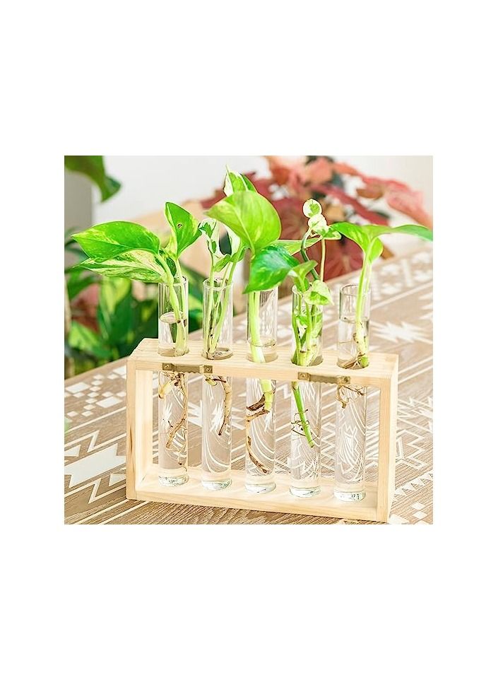 أوريتي شنت على الحائط معلقة النباتات terrariumin أنبوب اختبار زهرة برعم الطاولة الزجاج حامل خشبي مع 5 أنبوب اختبار  - Image 4
