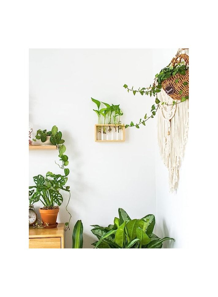 أوريتي شنت على الحائط معلقة النباتات terrariumin أنبوب اختبار زهرة برعم الطاولة الزجاج حامل خشبي مع 5 أنبوب اختبار  - Image 2