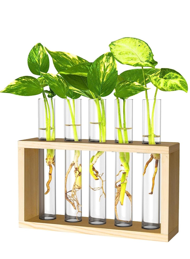 أوريتي شنت على الحائط معلقة النباتات terrariumin أنبوب اختبار زهرة برعم الطاولة الزجاج حامل خشبي مع 5 أنبوب اختبار  - Image 1