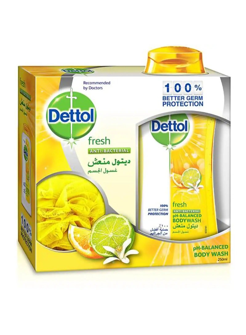 Dettol Shower Gel Fresh 250 ml With Loofah