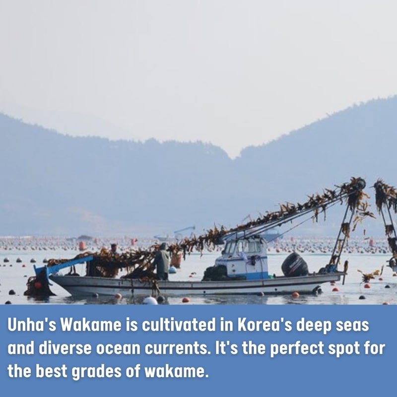UNHA'S ASIAN SNACK BOX رقائق الأعشاب البحرية المجففة واكامي من أونه - 2 أونصة أعشاب بحرية طبيعية لشوربة ميسو والسلطات - Image 4