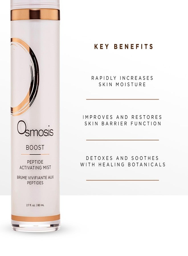 OSMOSIS BOOST Peptide Activating Hydrating Facial Mist with Hyaluronic Acid for Aging, Pigmented, Sensitive and Dry Skin, 2.7 Fl Oz - Image 3