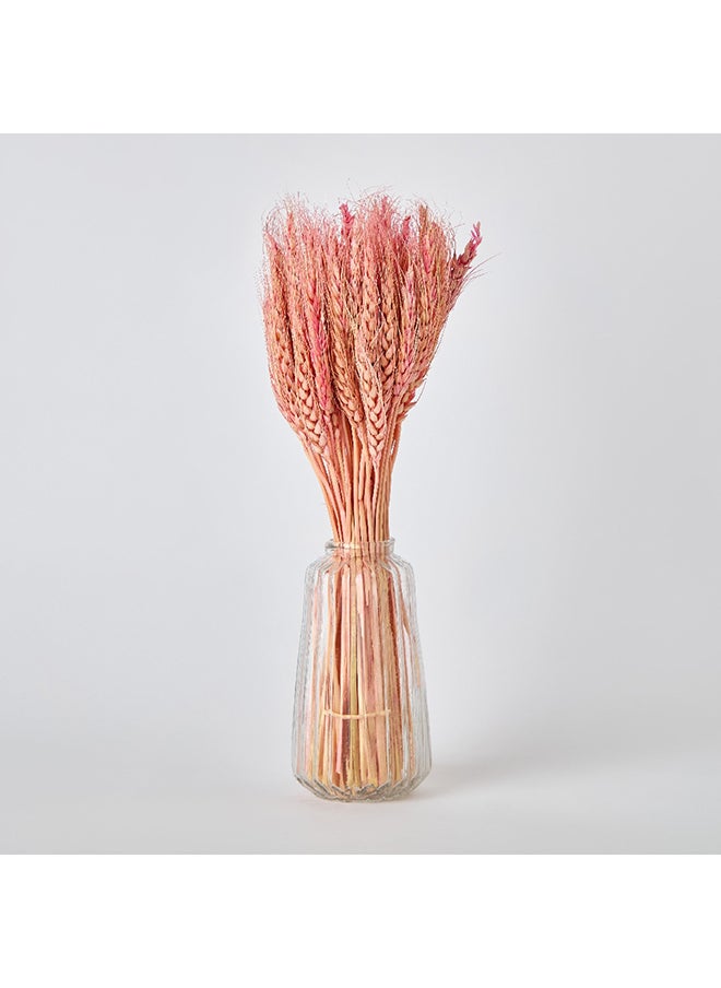 Home Box Medley Dried Wheat Grass Bunch in Glass Bottle 1 x 35 x 1 cm  - Image 4
