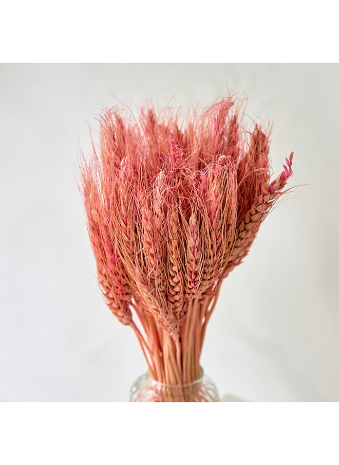 Home Box Medley Dried Wheat Grass Bunch in Glass Bottle 1 x 35 x 1 cm  - Image 2