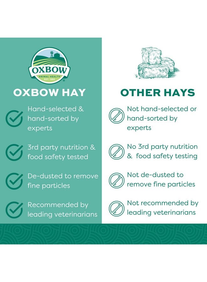 Oxbow Animal Health Orchard Grass, Guinea Pig Hay, Rabbit Hay, Small Pet Bunny Supplies, All Natural Grass for Guinea Pig, Bunny, Chinchilla & Hamster, Oxbow Rabbit Supplies for Bunnies, 15 oz. bag - Image 2