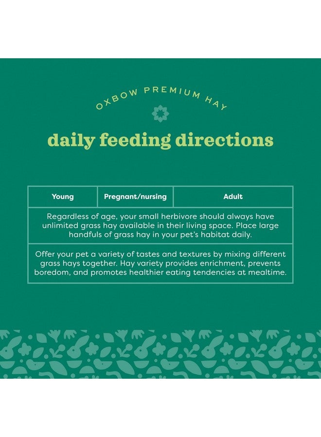 Oxbow Animal Health Orchard Grass, Guinea Pig Hay, Rabbit Hay, Small Pet Bunny Supplies, All Natural Grass for Guinea Pig, Bunny, Chinchilla & Hamster, Oxbow Rabbit Supplies for Bunnies, 15 oz. bag - Image 5