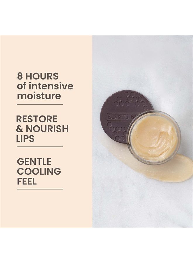 Burt's Bees Lip Care Easter Basket Stuffers, Moisturizing Overnight Intensive Treatment Spring Gift, for All Day Hydration, Ultra Conditioning Moisturizer, 0.25 Ounce (Packaging May Vary) - Image 5