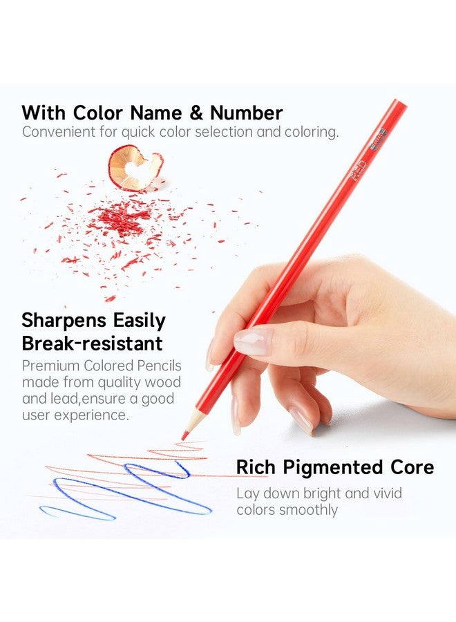 Shuttle Art 360 Pcs Colored Pencils Bulk, 12 Assorted Colors, Pack Of 30, Break-Resistant, Pre-Sharpened Colored Pencils For Kids, Bulk Pack School Supplies For Teachers & Students - Image 3