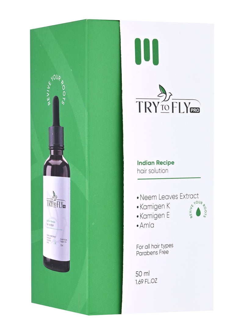 TrytoFly Indian Recipe Solution - Image 2