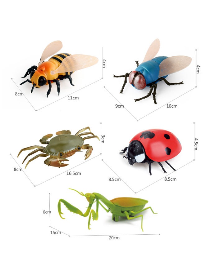 Original Direct Supply Remote Control Electric Insect Toy Snail Mouse Prank Fun Novelty Infrared Control Electronic Pet-Color:9995 Crab Red 180g Volume Weight 0.34kg  - Image 5
