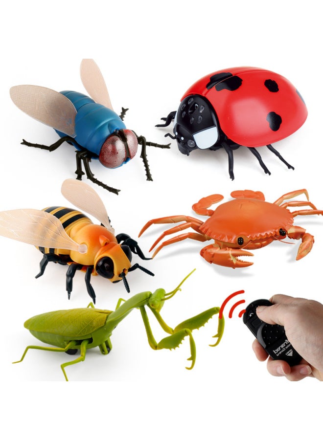 Original Direct Supply Remote Control Electric Insect Toy Snail Mouse Prank Fun Novelty Infrared Control Electronic Pet-Color:9995 Crab Red 180g Volume Weight 0.34kg  - Image 2