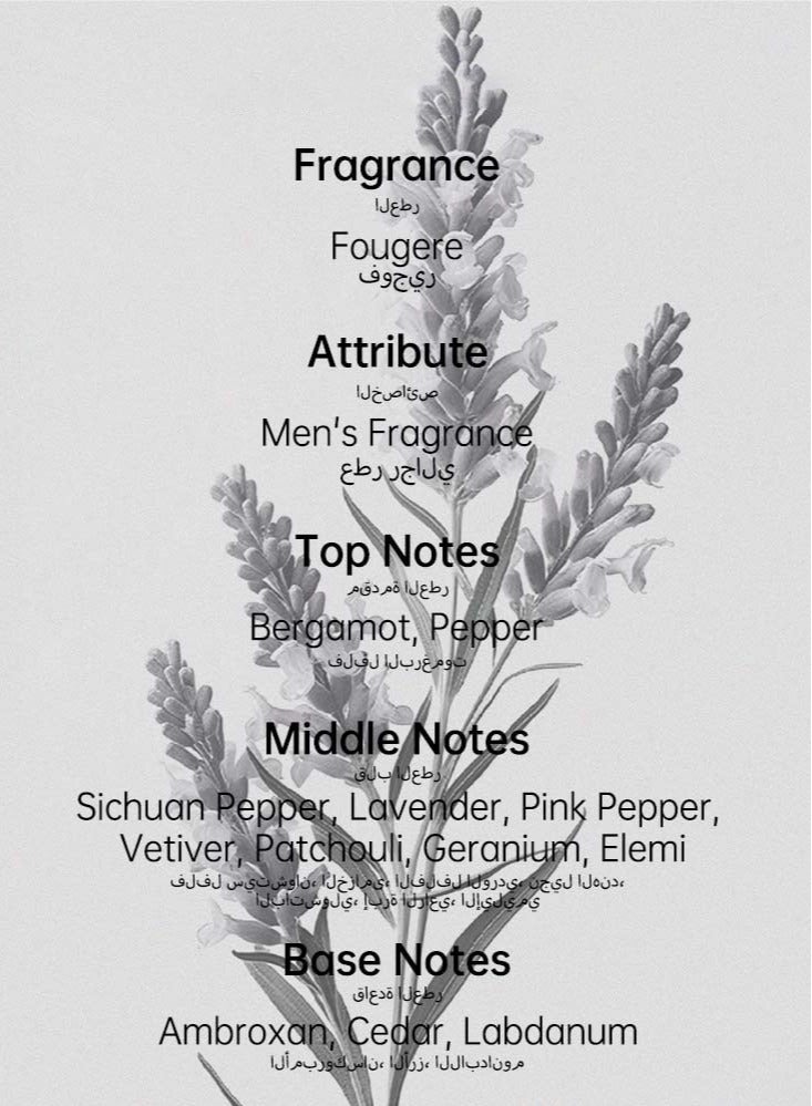 V.V. LOVE BRAVO HERO/Fougere Perfume/35ML - Image 2