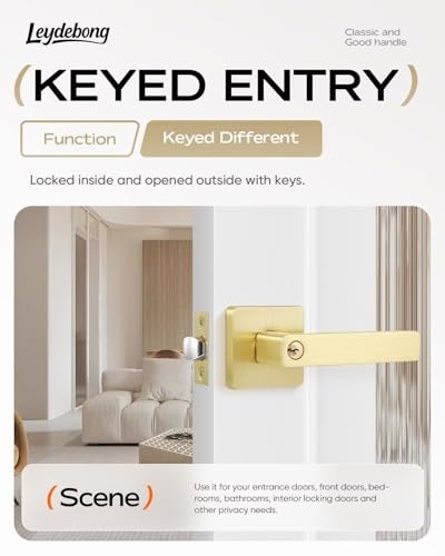 Leydebong 2 Pack Heavy Duty Entrance Lever Door Handle (for Office/Front Door) Left or Right Handing, Flat Style Different Keys Heavy Duty Leversets, Light Satin Brass Finish - Image 2