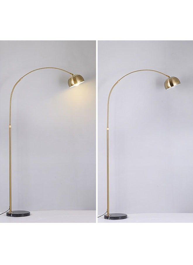 keke - Nordic Simple Stainless Steel Floor Lamp for Living Room and Office with 12W Remote Control and Bulb - Image 1