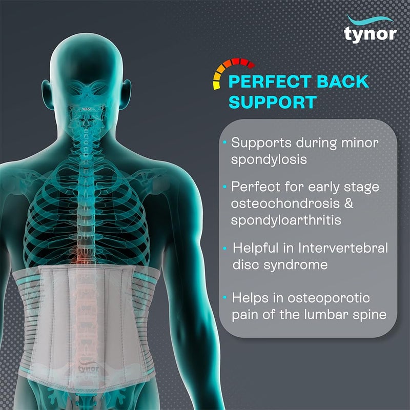 TYNOR Lumbar Support Belt Breathable Compression Lower Back Brace, Adjustable Waist Lumbar Support Brace for Men & Women, Herniated Disc, Sciatica, Back Pain & Heavy Lifting (Small, Grey) - Image 2