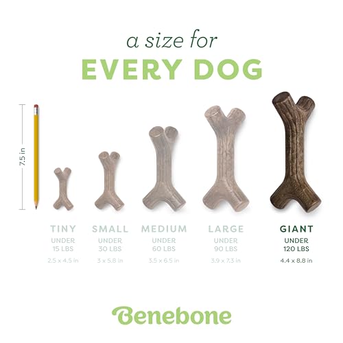 Benebone Maplestick Durable Dog Chew Toy for Aggressive Chewers, Real Maplewood, Made in USA, Giant - Image 4