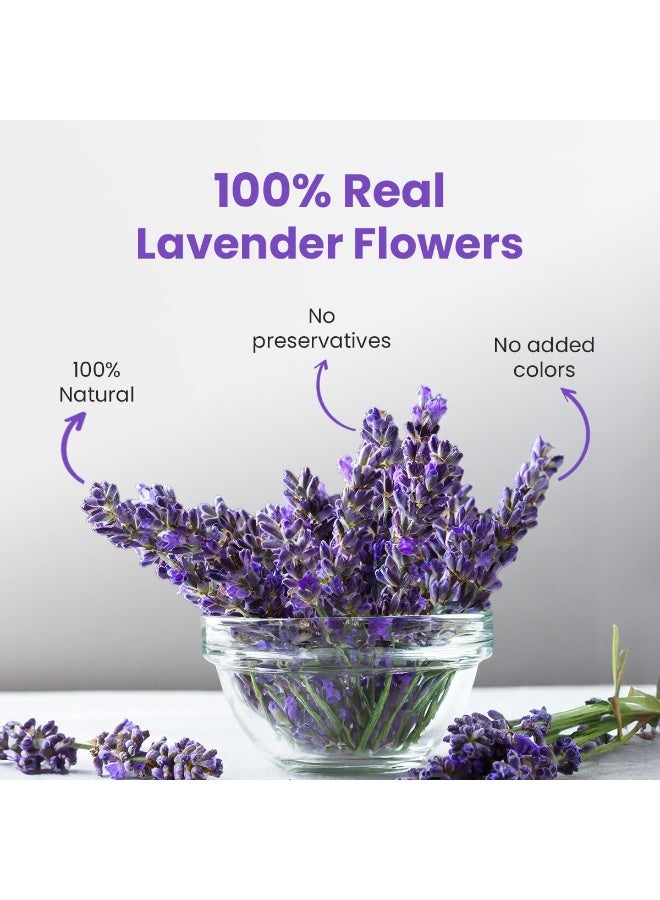 الشاي الأزرق شاي اللافندر 30 جرام | 30 كوب | شاي الأعشاب المهدئ | على أساس الزهور | خالية من الكائنات المعدلة وراثيا | خالي من الكافيين | طبيعي | ظهرت على خزان القرش | جرة PET قابلة لإعادة الاستخدام - Image 2